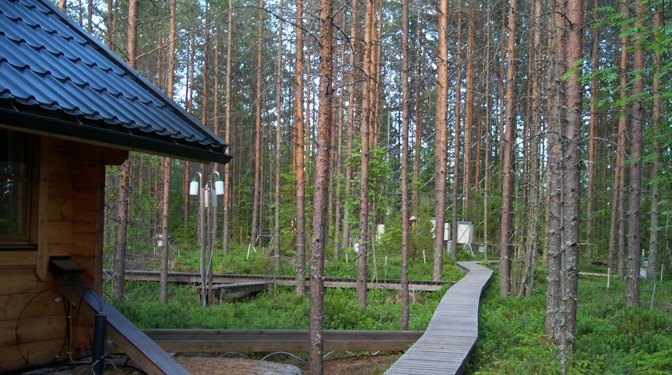 Polku