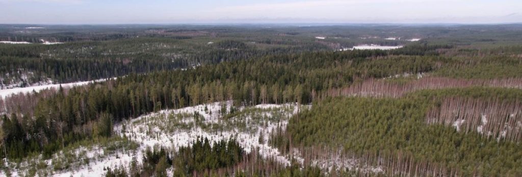 Hakkuualue