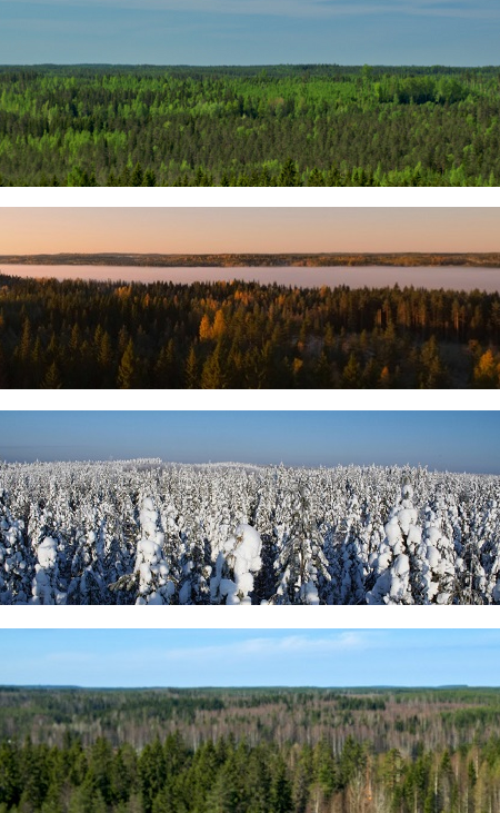 Vuodenajat